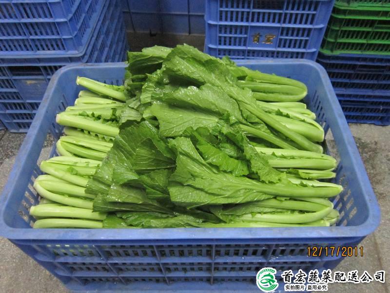 萬(wàn)江有機(jī)蔬菜配送公司