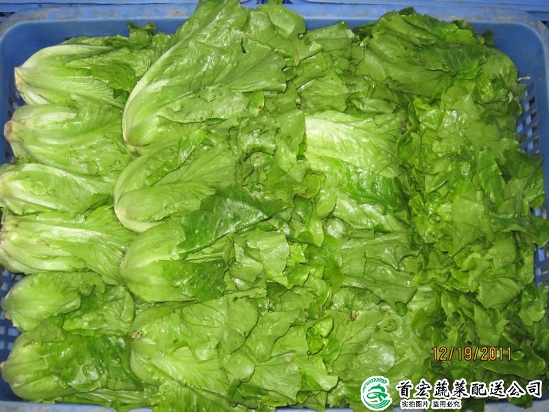 高埗農產品配送中心